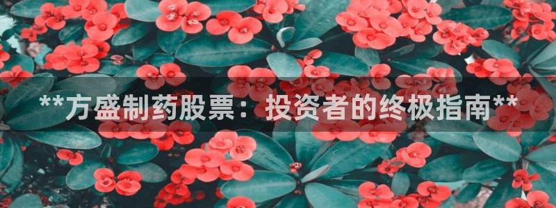 usdt九游会老哥俱乐部：**方盛制药股票：投资者的终极指南**