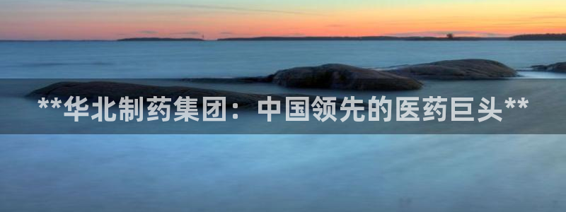 老哥俱乐部是干什么的啊：**华北制药集团：中国领先的医药巨头**