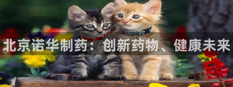 老哥吧九游会下架吗：北京诺华制药：创新药物、健康未来