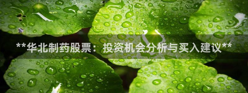 九游会老哥必备的交流社区：**华北制药股票：投资机会分析与买入建议**