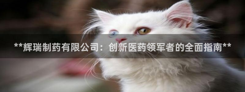 老哥俱乐部是干什么的：**辉瑞制药有限公司：创新医药领军者的全面指南**