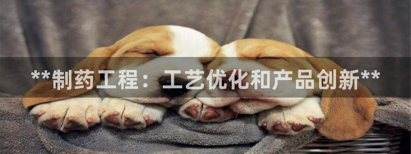 九游老哥俱乐部官网登录入口：**制药工程：工艺优化和产品创新**