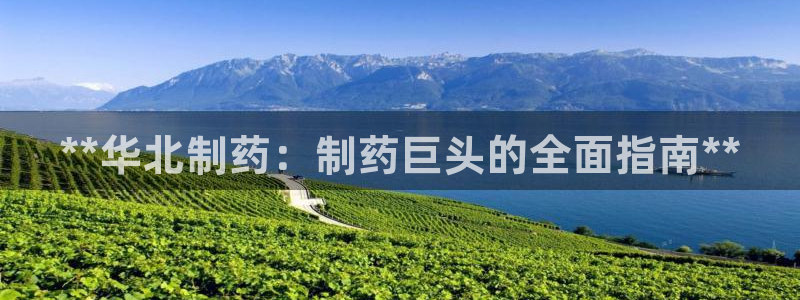 九游老哥俱乐部登录：**华北制药：制药巨头的全面指南**