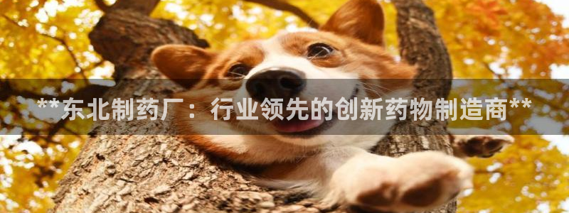 九游会老哥俱乐部交流社区：**东北制药厂：行业领先的创新药物制造商**