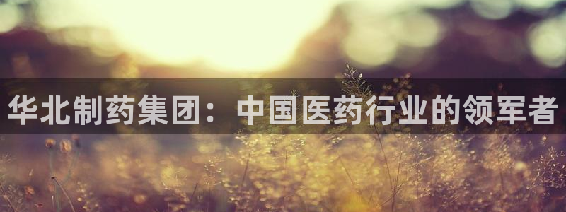 9游会老哥俱乐部：华北制药集团：中国医药行业的领军者