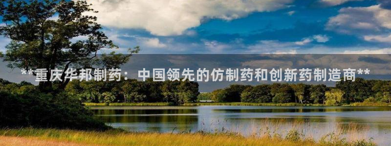 九游老哥俱乐部官网登录不了：**重庆华邦制药：中国领先的仿制药和创新药制造商**