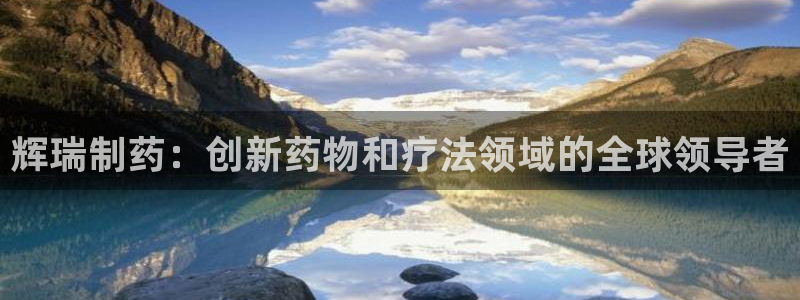 老哥俱乐部是干什么的：辉瑞制药：创新药物和疗法领域的全球领导者