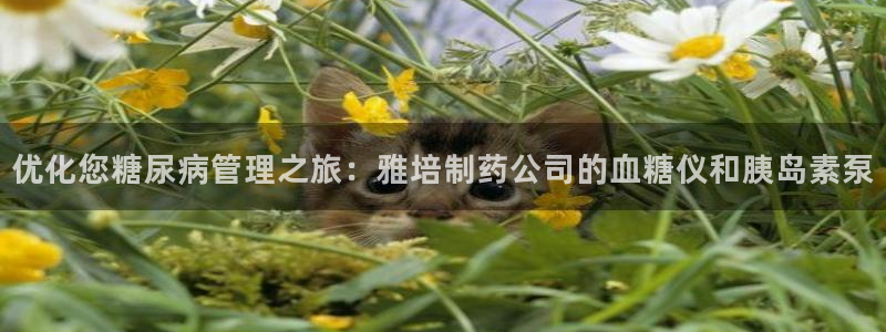 j9九游会老哥俱乐部交流区：优化您糖尿病管理之旅：雅培制药公司的血糖仪和胰岛素泵