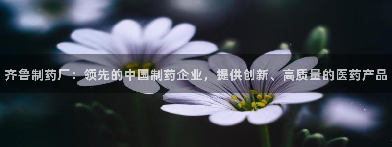 九游会老哥：齐鲁制药厂：领先的中国制药企业，提供创新、高质量的医药产品