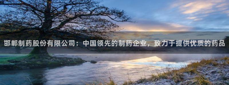 九游会老哥俱乐部官网首页：邯郸制药股份有限公司：中国领先的制药企业，致力于提供优质的药品