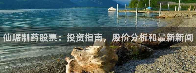 ag九游会老哥：仙琚制药股票：投资指南，股价分析和最新新闻