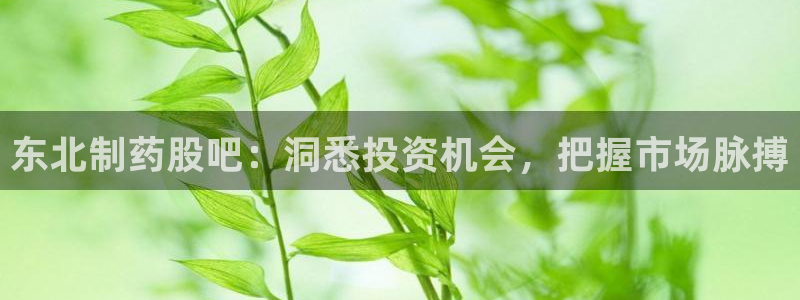 九游会老哥俱乐部必备的交流社区：东北制药股吧：洞悉投资机会，把握市场脉搏