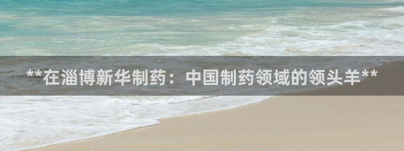 ag九游会老哥俱乐部：**在淄博新华制药：中国制药领域的领头羊**