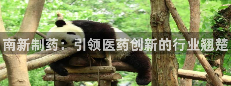 老哥吧九游会：南新制药：引领医药创新的行业翘楚