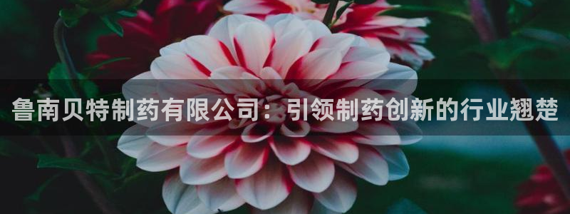ag九游会老哥俱乐部