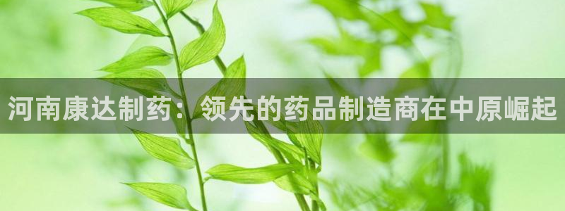 九游老哥俱乐部官网登录不了：河南康达制药：领先的药品制造商在中原崛起