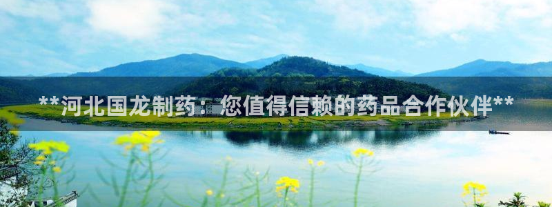 九游会老哥俱乐部：**河北国龙制药：您值得信赖的药品合作伙伴**
