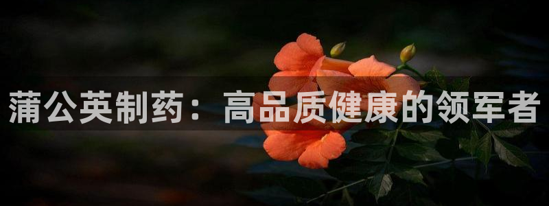 九游老哥俱乐部登录：蒲公英制药：高品质健康的领军者
