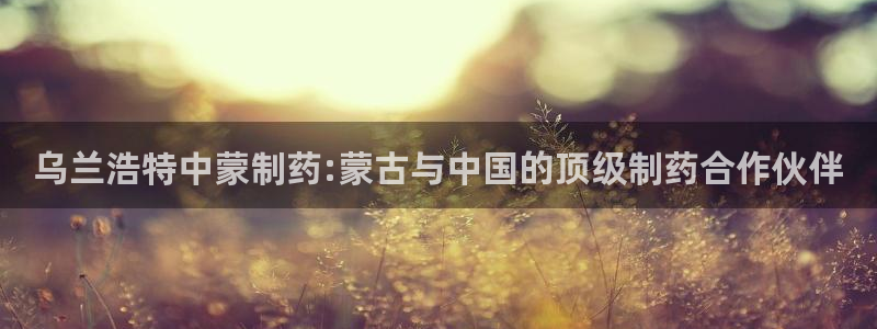 9游会老哥俱乐部：乌兰浩特中蒙制药:蒙古与中国的顶级制药合作伙伴