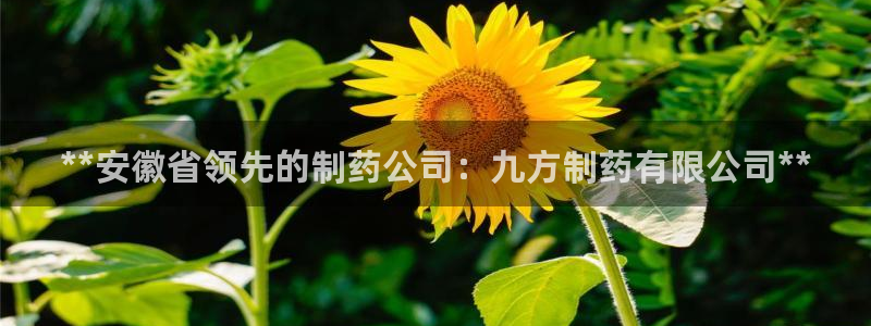 九游会老哥俱乐部官网：**安徽省领先的制药公司：九方制药有限公司**