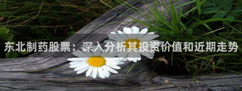 九游会老哥俱乐部必备的交流社区：东北制药股票：深入分析其投资价值和近期走势