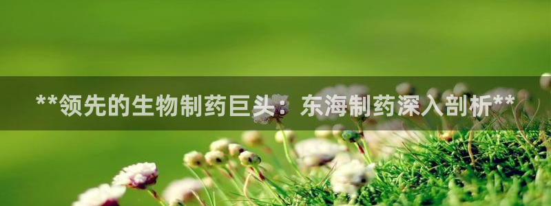 usdt九游会老哥俱乐部：**领先的生物制药巨头：东海制药深入剖析**