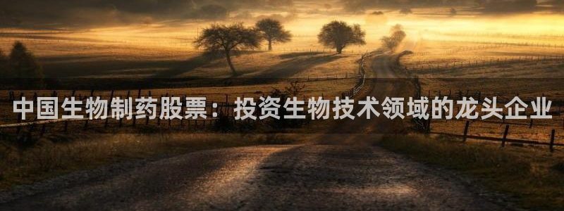 九游老哥俱乐部官网登录入口：中国生物制药股票：投资生物技术领域的龙头企业
