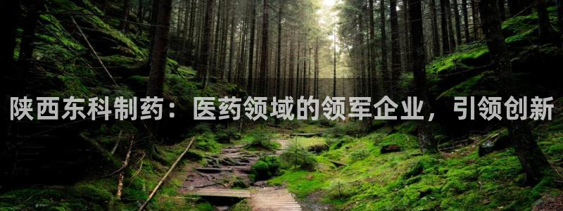老哥吧九游会：陕西东科制药：医药领域的领军企业，引领创新