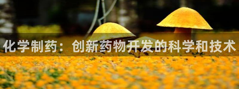 九游会老哥必备的交流社区：化学制药：创新药物开发的科学和技术