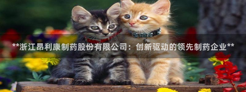 九游会老哥俱乐部必备的交流社区论坛：**浙江昂利康制药股份有限公司：创新驱动的领先制药企业**