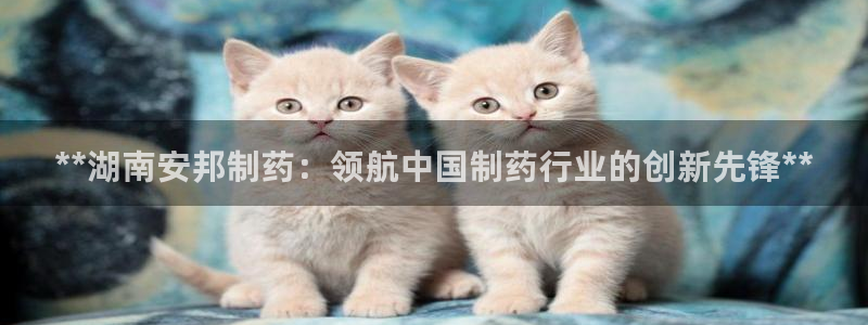 九游会老哥俱乐部官方网站：**湖南安邦制药：领航中国制药行业的创新先锋**