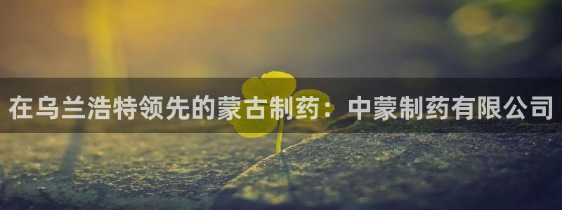 ag九游会老哥俱乐部：在乌兰浩特领先的蒙古制药：中蒙制药有限公司
