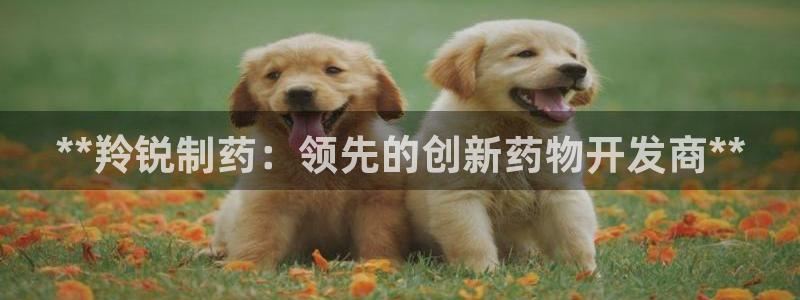 九游会老哥俱乐部交流社区：**羚锐制药：领先的创新药物开发商**
