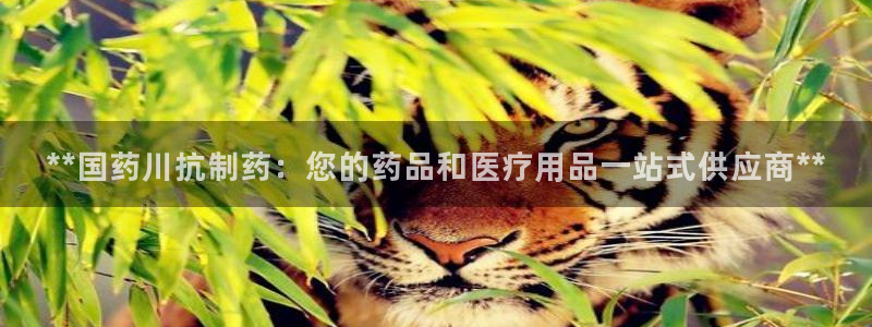 9游会老哥：**国药川抗制药：您的药品和医疗用品一站式供应商**