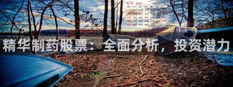老哥俱乐部是干什么的啊：精华制药股票：全面分析，投资潜力