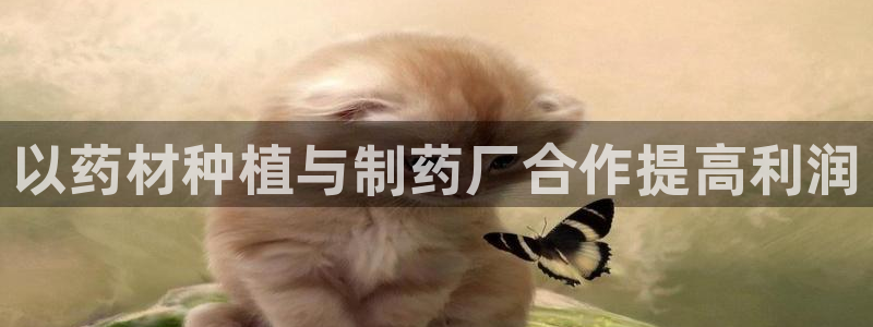 老哥吧九游会