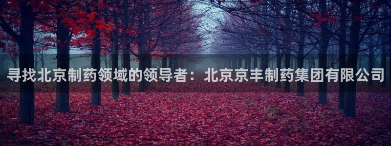 九游老哥俱乐部官网登录入口：寻找北京制药领域的领导者：北京京丰制药集团有限公司