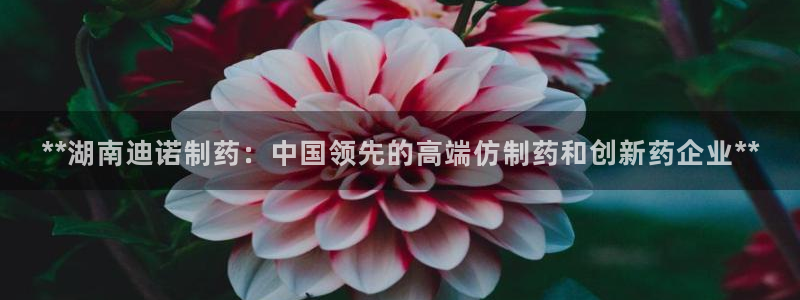 九游会老哥俱乐部官方网站：**湖南迪诺制药：中国领先的高端仿制药和创新药企业**