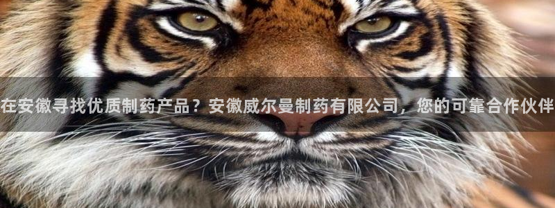 ag九游老哥俱乐部：在安徽寻找优质制药产品？安徽威尔曼制药有限公司，您的可靠合作伙伴