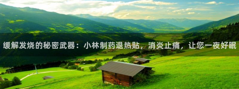 usdt九游会老哥俱乐部：缓解发烧的秘密武器：小林制药退热贴，消炎止痛，让您一夜好眠