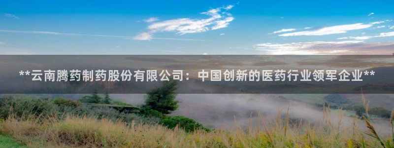 九游会老哥俱乐部论坛版：**云南腾药制药股份有限公司：中国创新的医药行业领军企业**