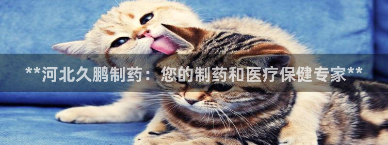 ag九游会老哥：**河北久鹏制药：您的制药和医疗保健专家**