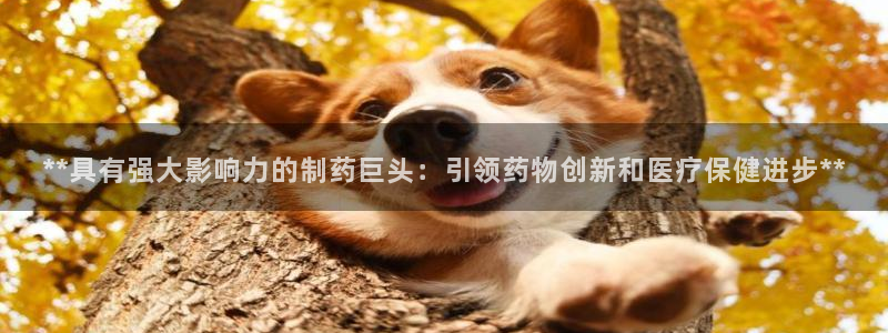 九游会老哥俱乐部官网首页：**具有强大影响力的制药巨头：引领药物创新和医疗保健进步**