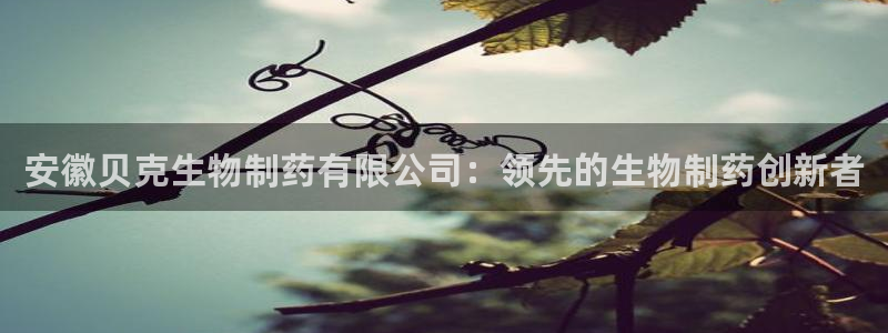 九游会老哥俱乐部社区论坛：安徽贝克生物制药有限公司：领先的生物制药创新者