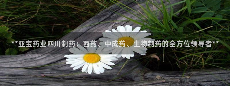 九游会老哥：**亚宝药业四川制药：西药、中成药、生物制药的全方位领导者**