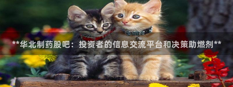 九游会老哥俱乐部官网：**华北制药股吧：投资者的信息交流平台和决策助燃剂**