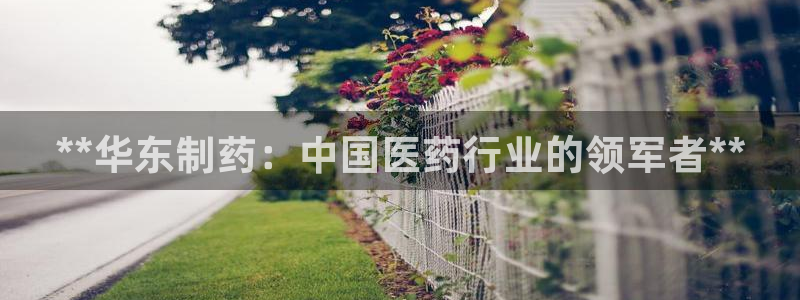 老哥吧九游会：**华东制药：中国医药行业的领军者**