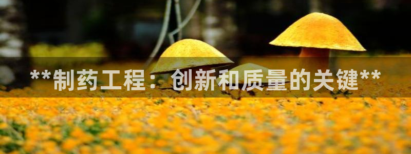 九游会老哥：**制药工程：创新和质量的关键**