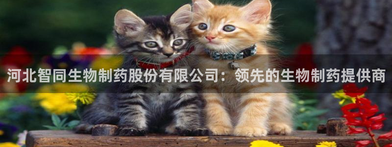 9游会老哥俱乐部：河北智同生物制药股份有限公司：领先的生物制药提供商
