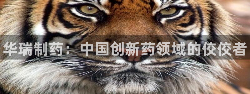 老哥吧九游会下架吗：华瑞制药：中国创新药领域的佼佼者